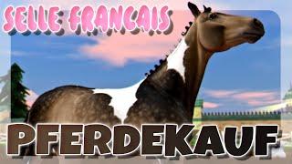 ICH KAUFE DAS NEUE SELLE FRANCAIS  PFERDEKAUF  | Star Stable [SSO]