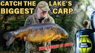 Catching The BIGGEST Carp In The Lake I Guesting with Mark Holmes