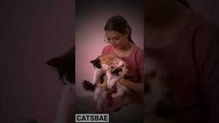 Semi punch beautiful cats kittens in CATSBAE CATTERy