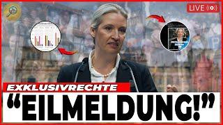 VOR 3 MINUTEN!11.000 Abstimmung — Wie WEIDELS rechte Partei Partei in Hamburg Deutschland erobert!