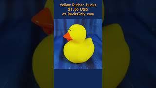 Yellow Rubber Ducks at DucksOnly! #rubberduck #ducksonlycom