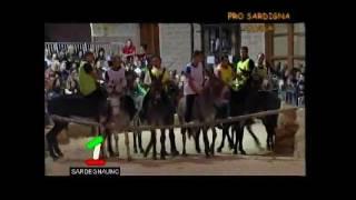 OLLOLAI - PALIO DEGLI ASINELLI 2011 - Pro Sardigna