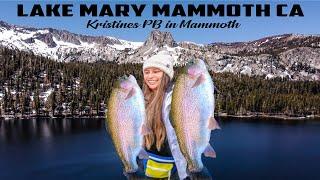 LAKE MARY | PERSONAL BEST | DOG BITE | MAMMOTH LAKES