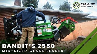 Bandit's Class-Leading 2550 Stump Grinder