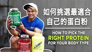 如何挑選最適合自己的蛋白粉 | How to Pick the Right PROTEIN for Your Body Type | Terrence Teo