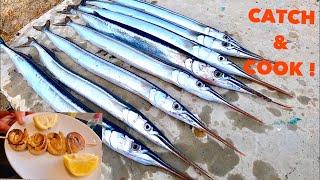 GARFISH - Catch & Cook , Trash Fish That Taste Amazing !