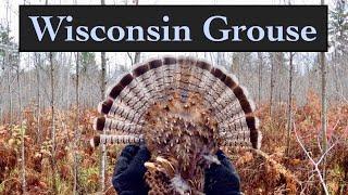 Wisconsin Ruffed Grouse and Woodcock