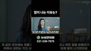 땀이 나는 이유는?