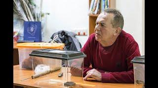 Змеи Самарской области Эко-лекторий 2022-18 Андрей Бакиев