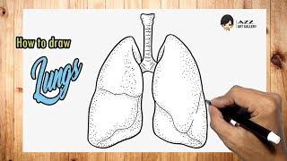 How to draw Lungs