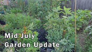 Mid July Garden Update and Tour - It's a Jungle Out There.