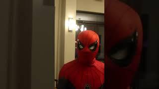 SPIDEY #teamspiderman