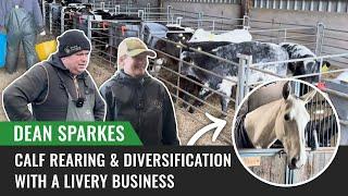 Calf Rearing and Diversification with a Livery Business, Dean Sparkes