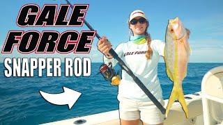 The Inshore Reef Slayer Rod | Fishing with Gale Force Snapper Rod