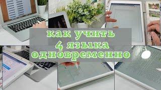 Как я учу 4 языка. Начало процесса