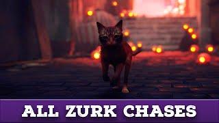 Stray: All Zurk Chases (No Damage)