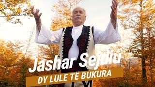 Jashar Sejdiu   Dy lule te bukura Official Video