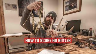 How To Score A Whitetail Antler