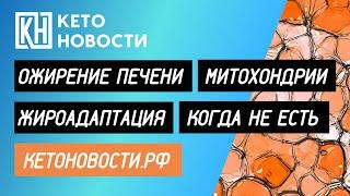 ЖИРОАДАПТАЦИЯ. ОЖИРЕНИЕ ПЕЧЕНИ. МИТОХОНДРИИ. ПЕРИОД СВОБОДНЫЙ ОТ ЕДЫ.