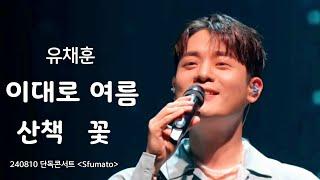 (가사자막) 이대로 여름 + 산책 + 꽃 (3곡 연속) 유채훈 240810 [ 2024 유채훈 단독 콘서트 Sfumato ]