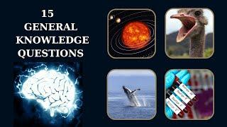 How Good is Your GK | 15 General Knowledge Questions with Answers #brainbytes #gk #gkquiz #viral