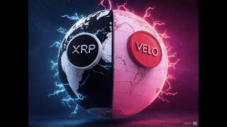 XRP + VELO ?! | Binance Stacking VELO | The Deeper Dive