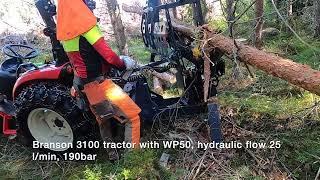 WP50 Woodpecker