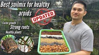 BEST SOILMIX FOR HEALTHY AROIDS (UPDATED)