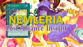 [NEW] NEMLERIA deck Feb.2024 | Post Alliance Insight