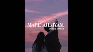 sau sau awaazein maare akhiyan (slowed Reverb)