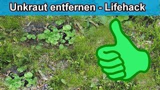 Unkraut im Beet mühelos & leicht entfernen – Life Hack / Tipps und Tricks gegen Unkraut im Garten