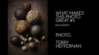 WHAT MAKES THIS PHOTO GREAT, #5 TERRY HEFFERNAN