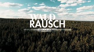 WALDRAUSCH Magazin | Trailer