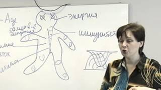Лекция, продление жизни, улучшение здоровья