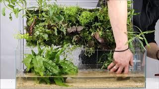 Planting the new  DOOA NEO GLASS TERRA H23