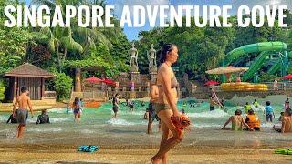 SINGAPORE BEST WATER PARK 2022:ADVENTURE COVE WATERPARK SENTOSA AFTER PANDEMIC FULL TOUR VIDEO