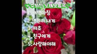 수와진/노래모음5곡