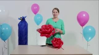 10 обучающий урок по аэродизайну большие розы из воздушных шаров