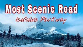 Canadian Rockies Winter Driving  // Icefields Parkway // Saskatchewan Crossing to Jasper