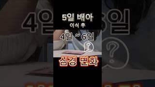 시험관 이식후 임테기 #시험관 #시험관브이로그  #시험관시술 #난임 #난임브이로그  #브이로그 #시험관임테기