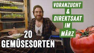 Meine 20 Gemüse Sorten für die Direktsaat und Voranzucht im März!