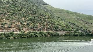 Cruise Boats on the Douro River in the Douro Valley