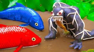 Mud Survival Koi Fish Fight Venom, Spiderman, Eel - Funny Animails Stop Motion Fish In Mud - Coco
