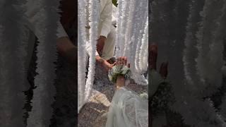 Perfect nikkah 🩵 #nikkah #weddingguests #foryou #love #nikkahfied #weddingparty #shortvideo #fyp