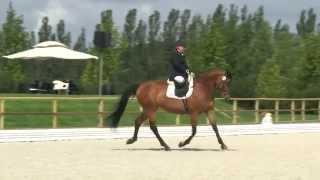 Angelika Trabert - Ariva-Avanti - Deutsche Meisterschaften Para-Equestrian 2014