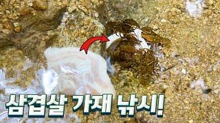 산속 계곡에 삼겹살을 넣었더니? 반응이 이렇게 폭발적일줄이야...ㄷㄷ