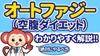 【空腹こそ最強のクスリ】16時間断食の正しいやり方 -無理なく痩せる食事法を解説- 【オートファジーダイエット】