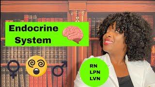 The Endocrine System