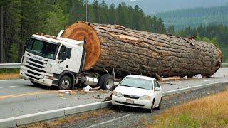 Dangerous Biggest Logging Truck Driving Skills | Fastest Crossing Muddy Road Wood Truck Driving