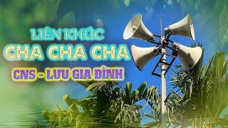 Liên Khúc Cha Cha Cha - Lưu Gia Đình - Mới Nhất